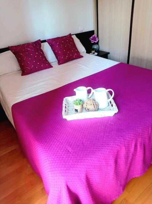 ウエスカAcogedor Apartamento Con Piscina Y Garajeアパートメント エクステリア 写真
